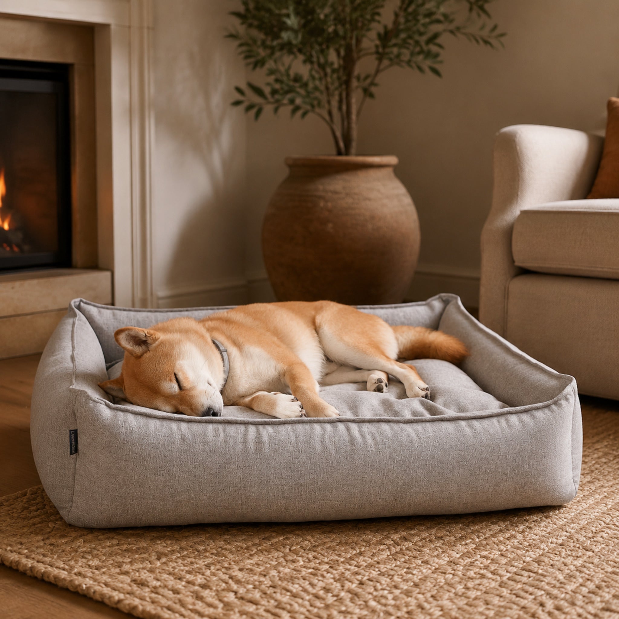 Møvik Hundebett – Grau – Elegante Wohnszene mit Haustier