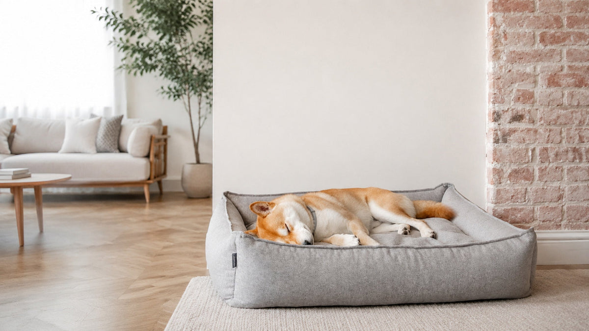 Møvik Hundebett – Grau – Breite Premium-Wohnszene im Format 16:9