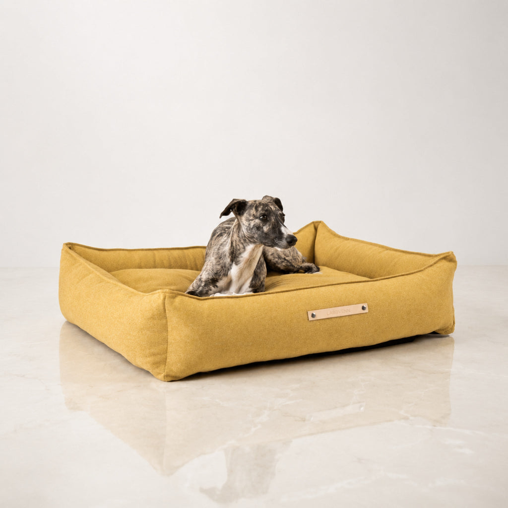 Møvik Hundebett – Honig – Premium Studioaufnahme auf reflektierendem Boden