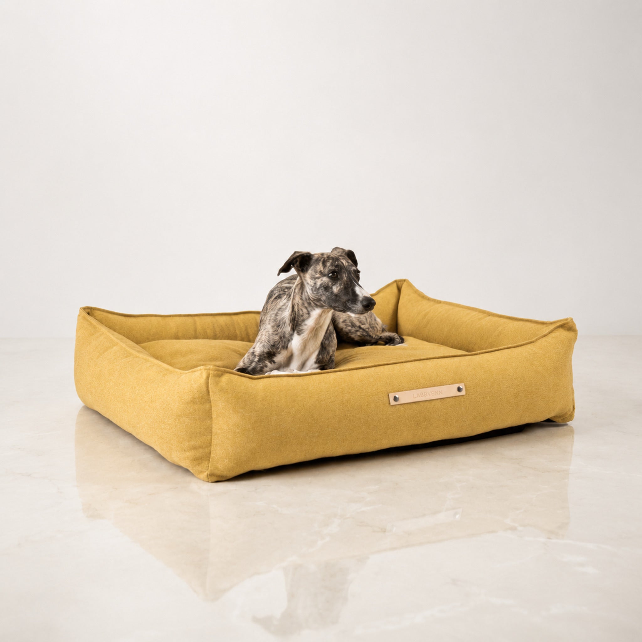 Møvik Hundebett – Honig – Premium Studioaufnahme auf reflektierendem Boden