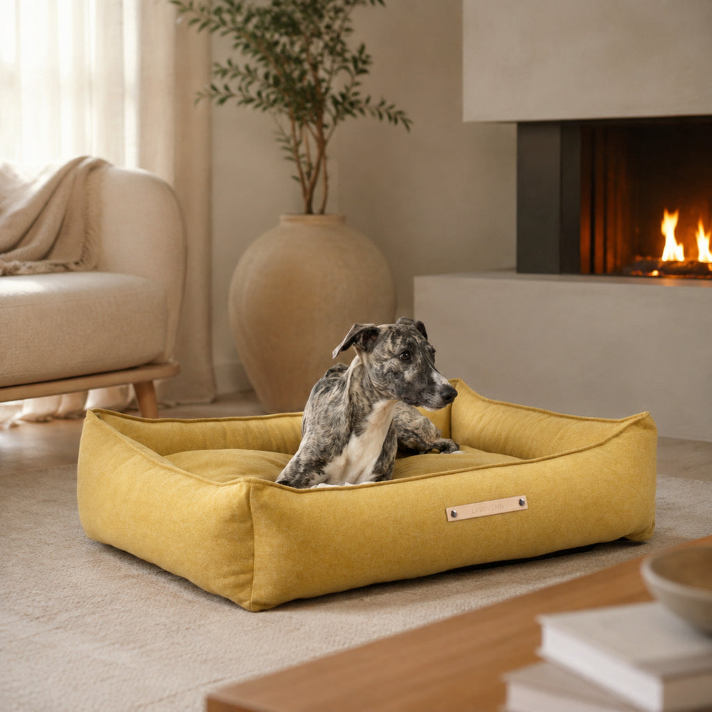 Møvik Hundebett – Honig – Elegante Wohnszene mit Haustier