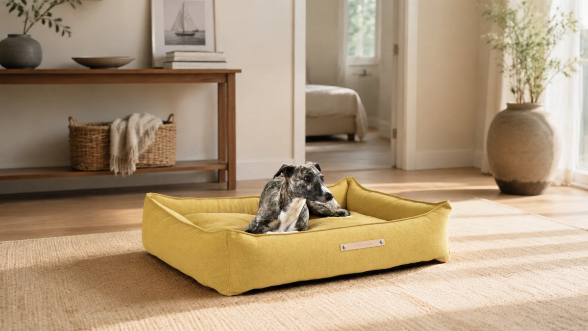Møvik Hundebett – Honig – Breite Premium-Wohnszene im Format 16:9