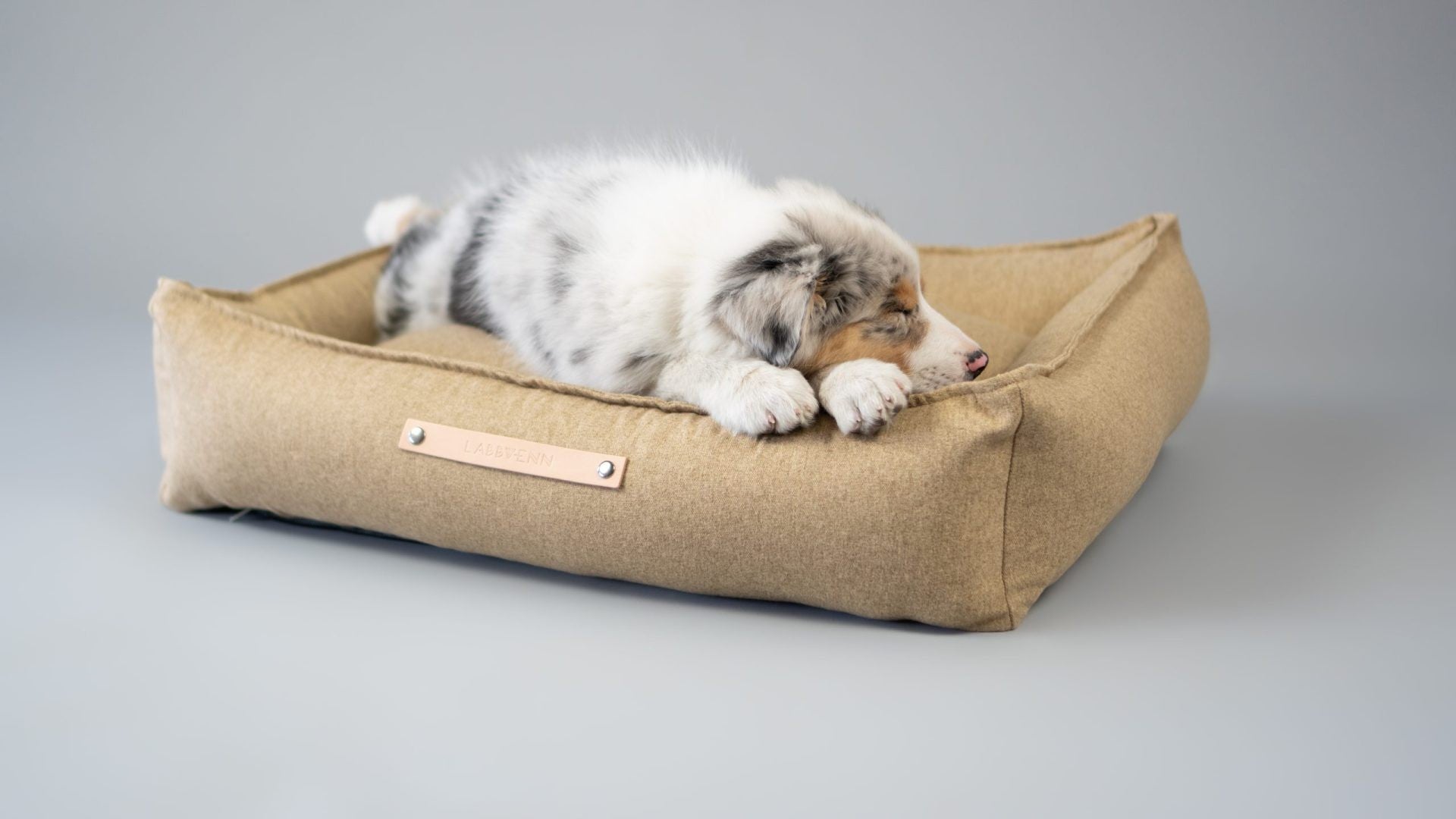 Møvik Hundebett – Biskuit