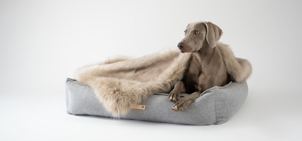 Møvik Hundebett – Grau – Ansicht 2