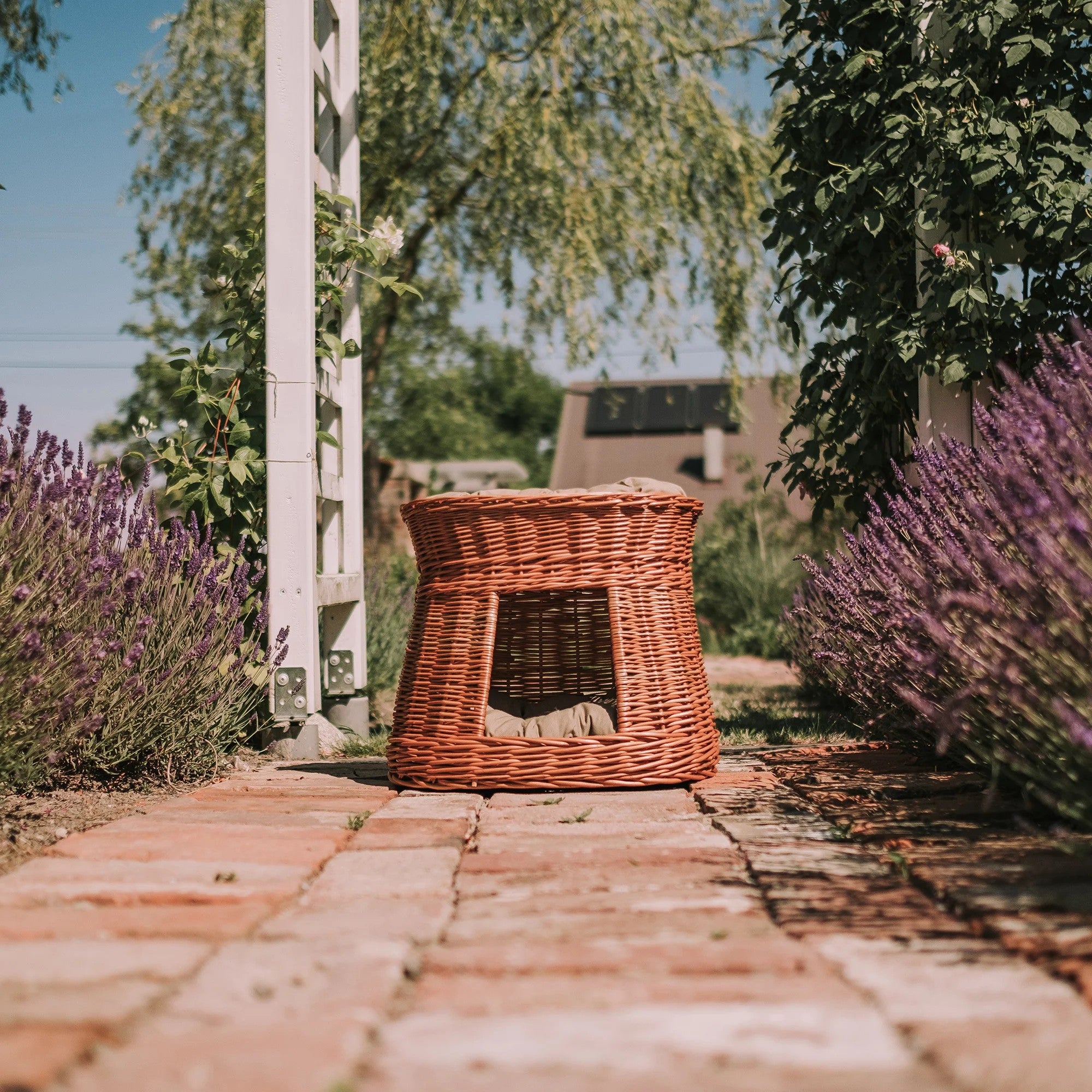 Natural Wicker Cat House Cari With Cushions