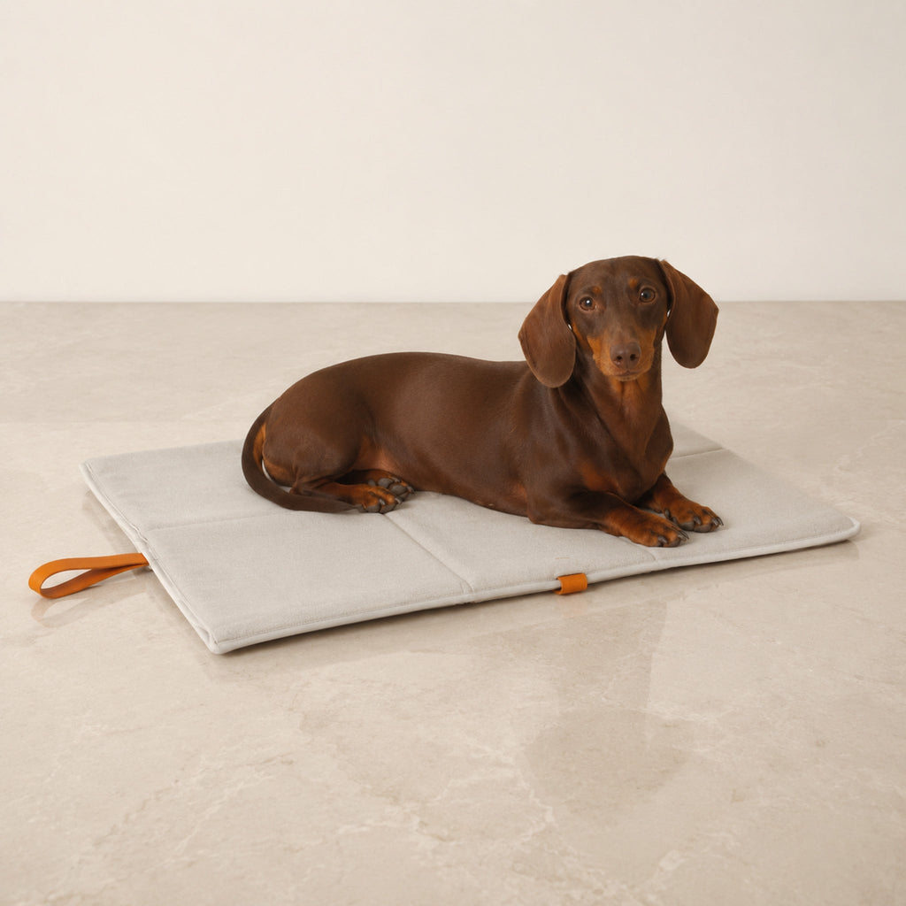 Okka Hundereisematte Beige mit Dackel – Premium Produktfoto
