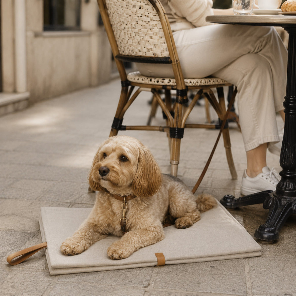 Okka Reisematte Beige beim Cafébesuch mit Hund