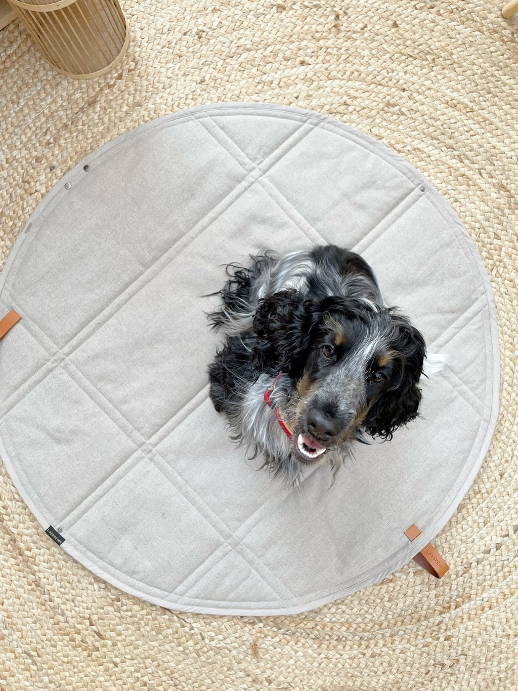 Okka Hundereisematte Beige ausgeklappt