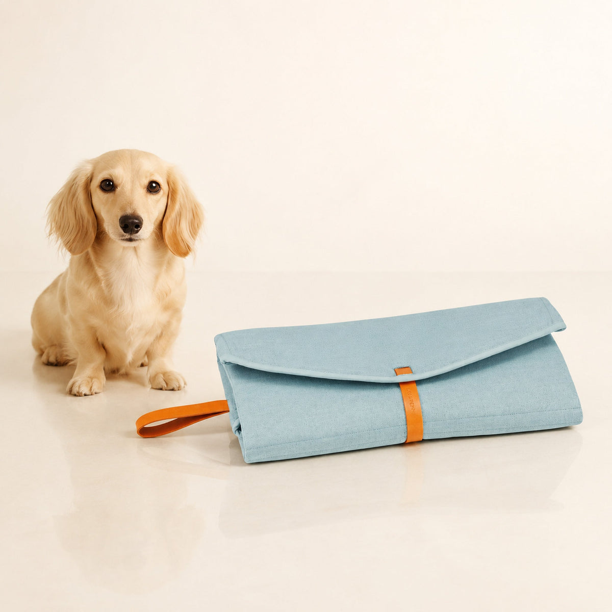 Okka Hundereisematte Soft Teal mit Dackel – Premium Produktfoto 2048x2048