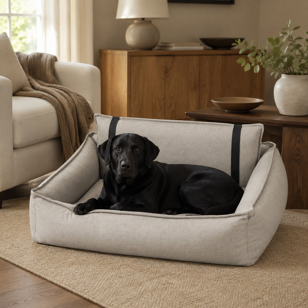 Beiges Orteo Hundebett mit schwarzem Labrador im hellen Wohnzimmer