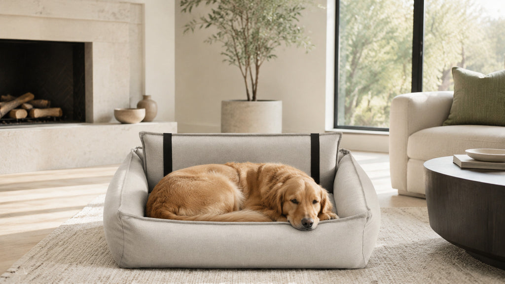 Orteo Hundebett Beige mit Golden Retriever im Premium Schlafzimmer