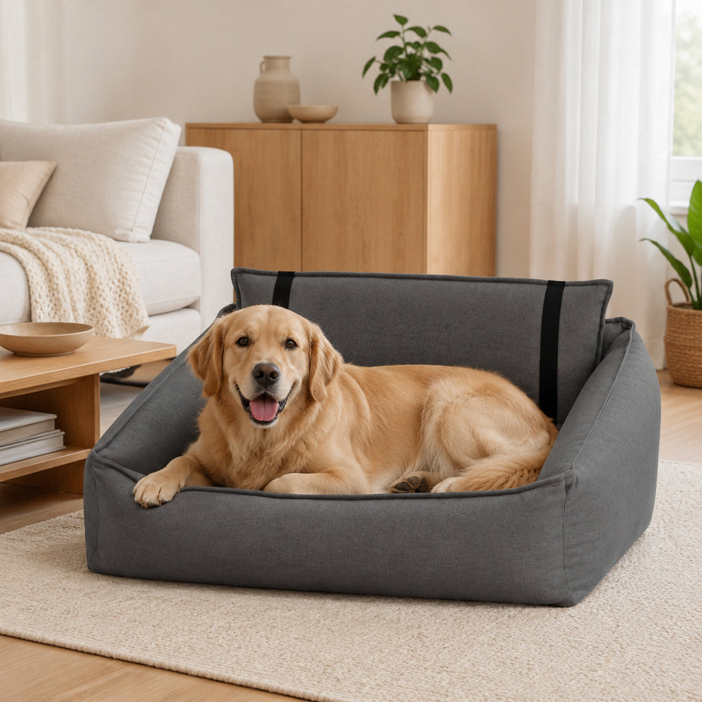 Orteo Hundebett Dunkelgrau mit Golden Retriever im Wohnzimmer