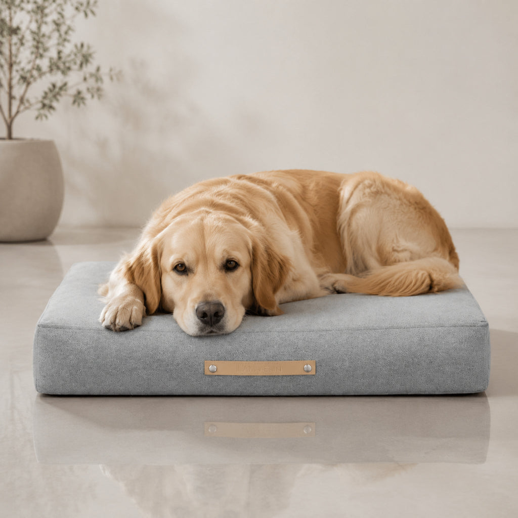 Oslo Hundekissen – Wolkengrau – Premium Studioaufnahme auf reflektierendem Boden