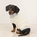 Pullo Hundepullover Grau mit Pastellmuster am Dackel im Premium-Studio