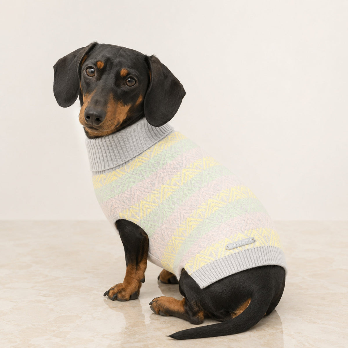 Pullo Hundepullover Grau mit Pastellmuster am Dackel im Premium-Studio