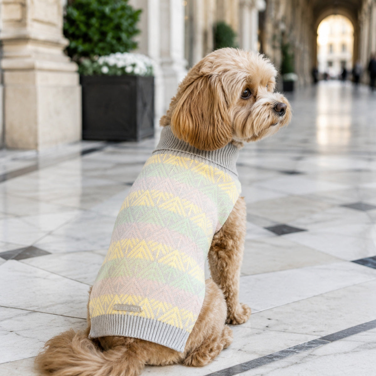 Grauer Pullo Hundepullover beim eleganten Stadtspaziergang