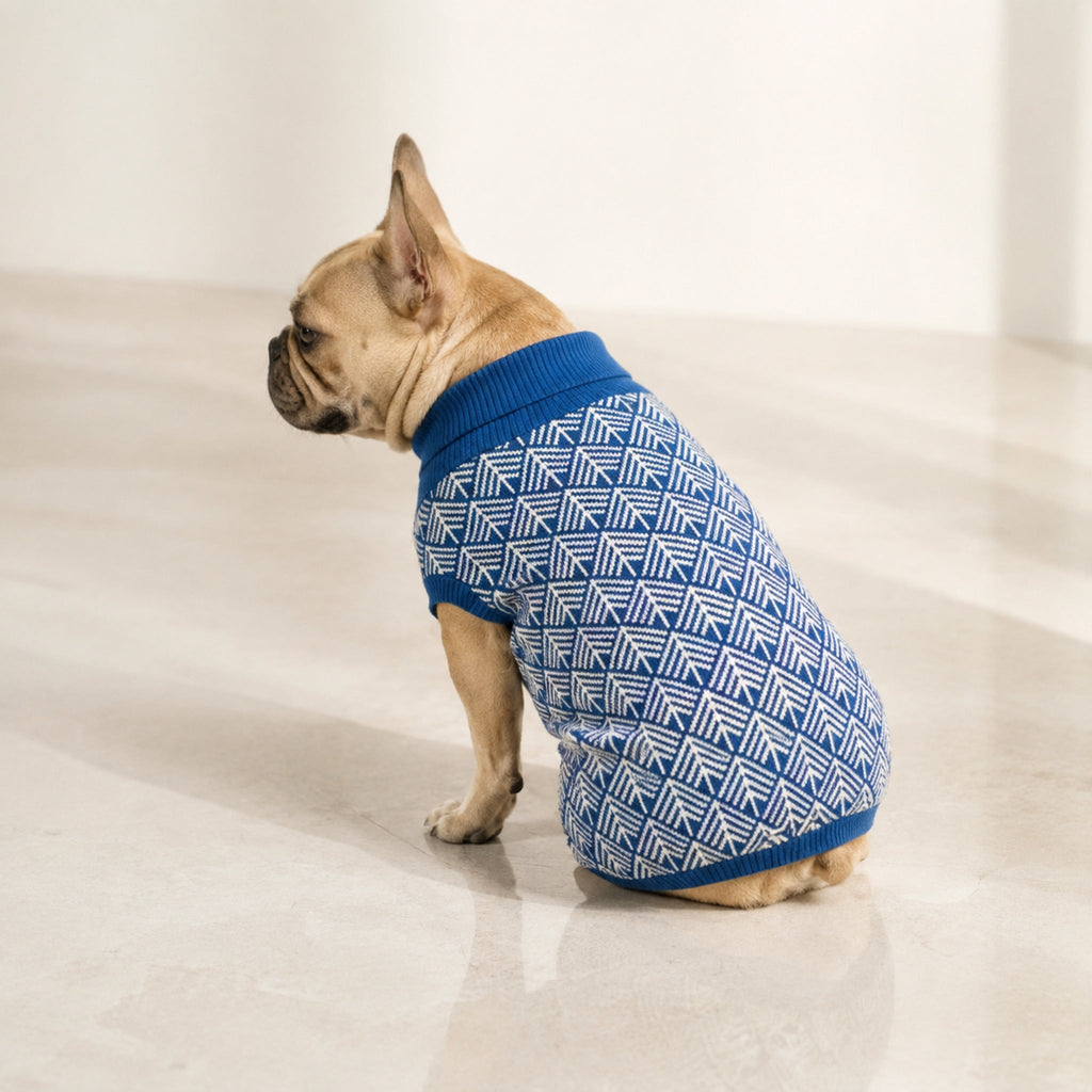 Pullo Hundepullover Marineblau am Französischen Bulldog im Premium-Studio