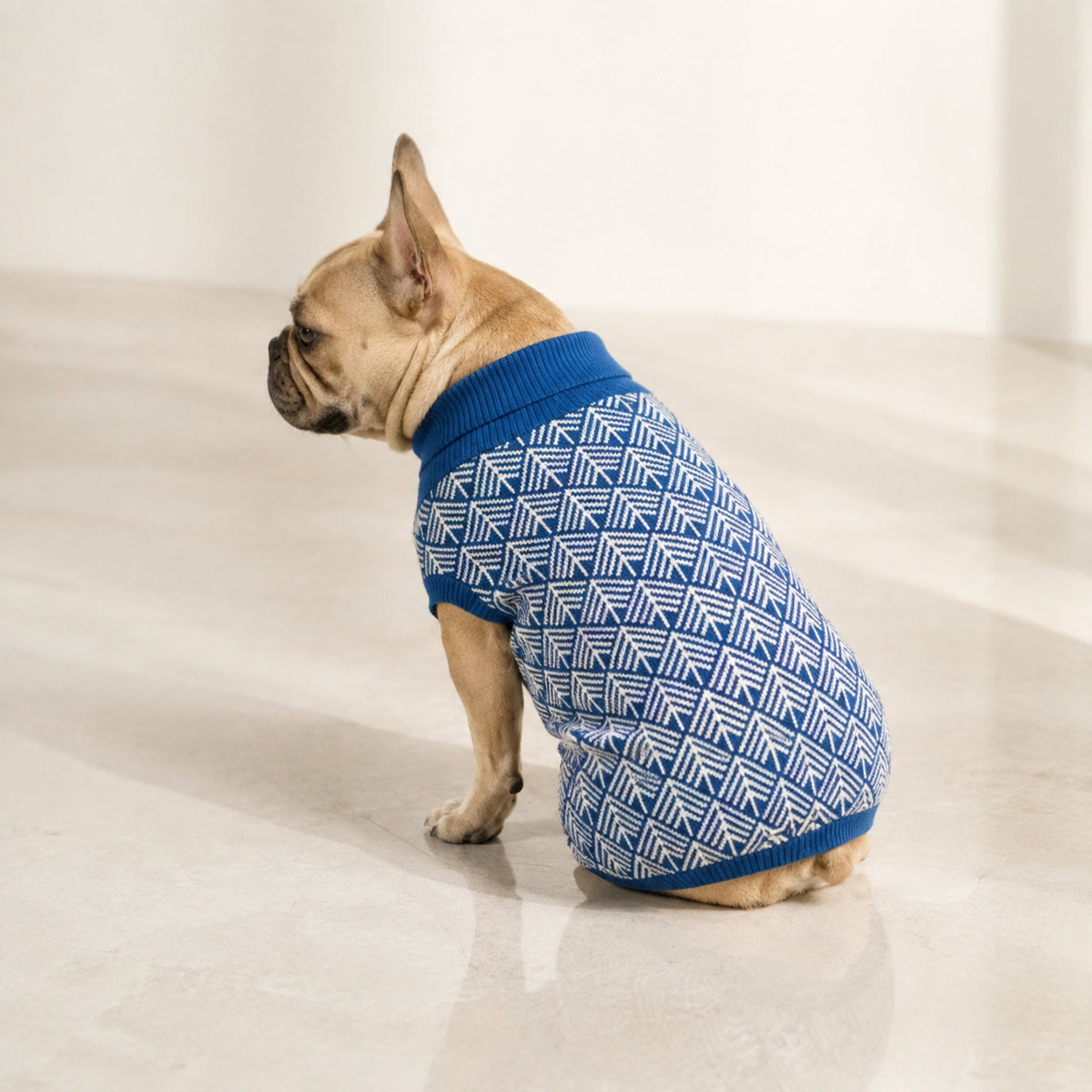 Pullo Hundepullover Marineblau am Französischen Bulldog im Premium-Studio