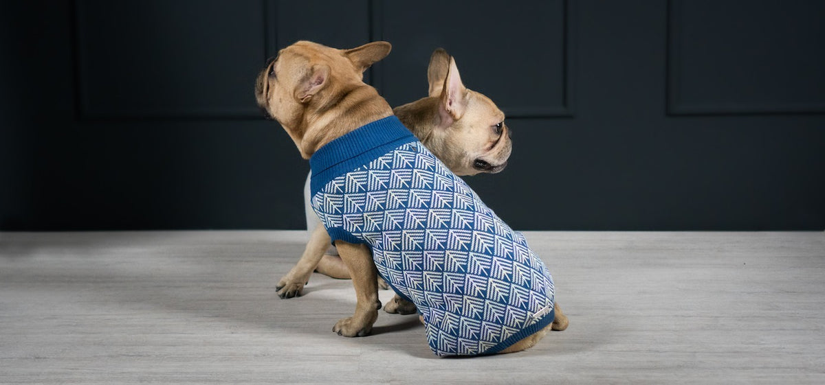 Pullo Hundepullover in Marineblau – Vorderansicht