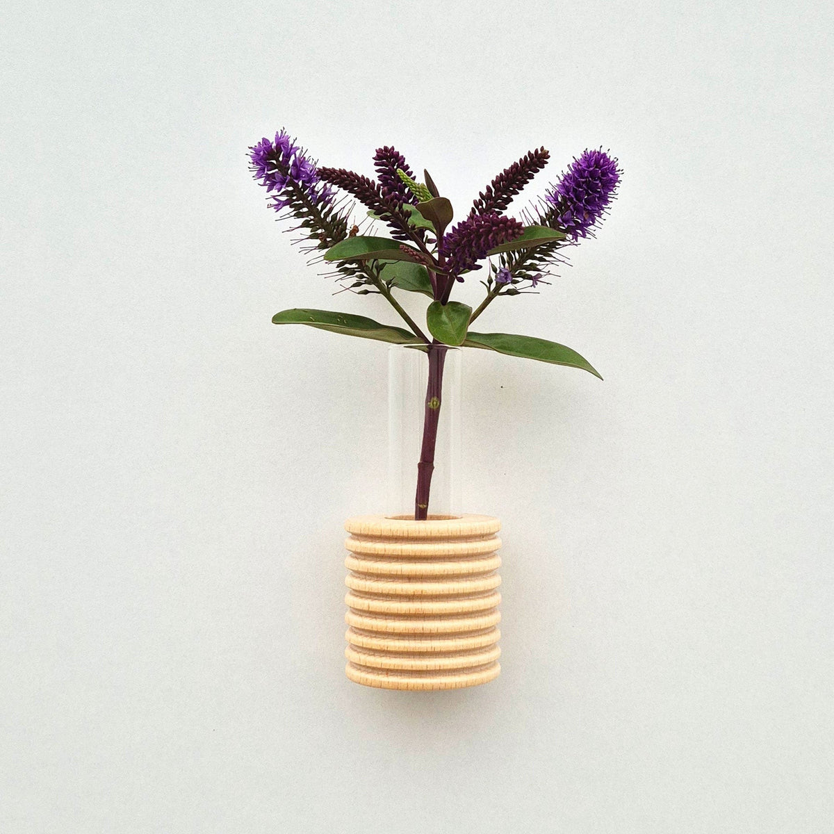Ribble Wandvase – Holzoptik – Originalansicht 1