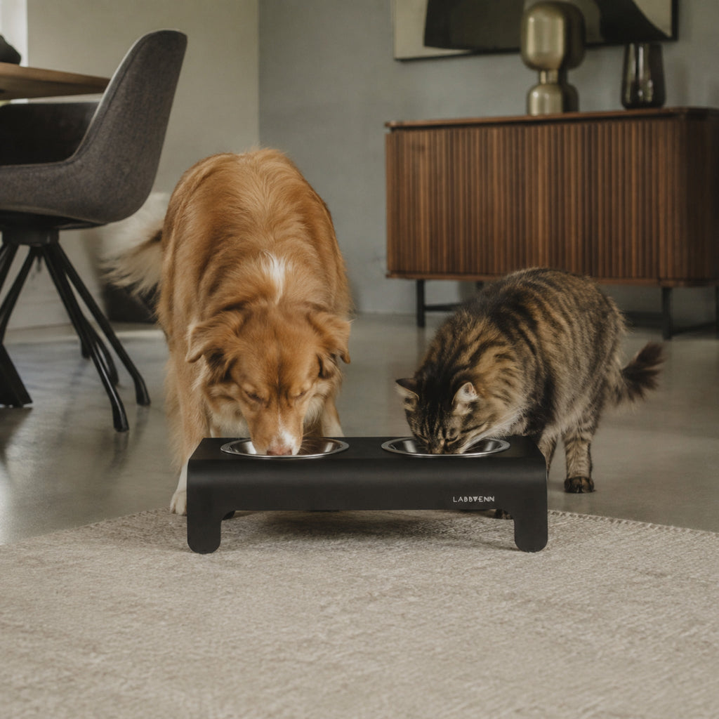 Rico Doppelnapf für Hund & Katze – Schwarz – Stilvolle Wohnatmosphäre mit Hund und Katze