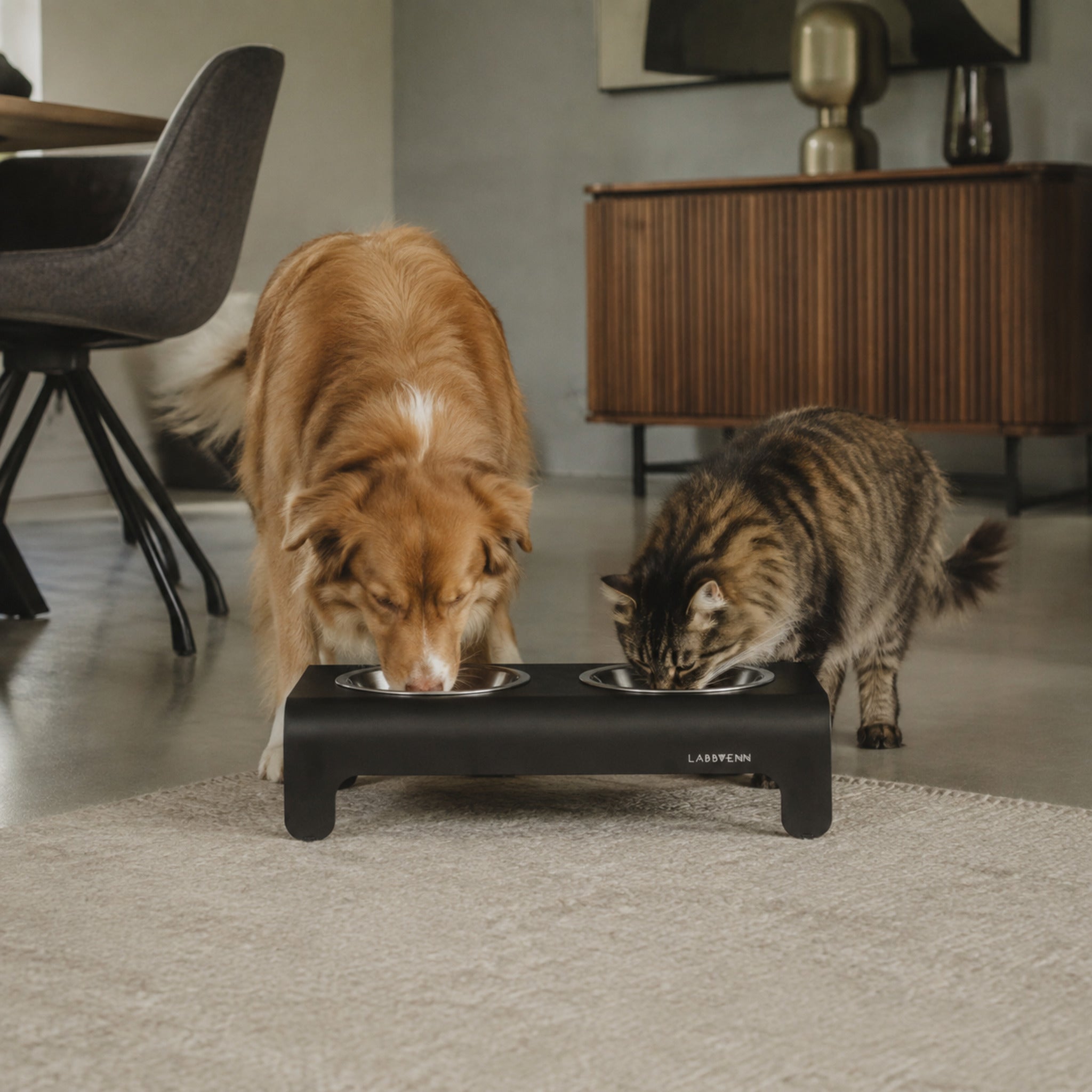 Rico Doppelnapf für Hund & Katze – Schwarz – Stilvolle Wohnatmosphäre mit Hund und Katze