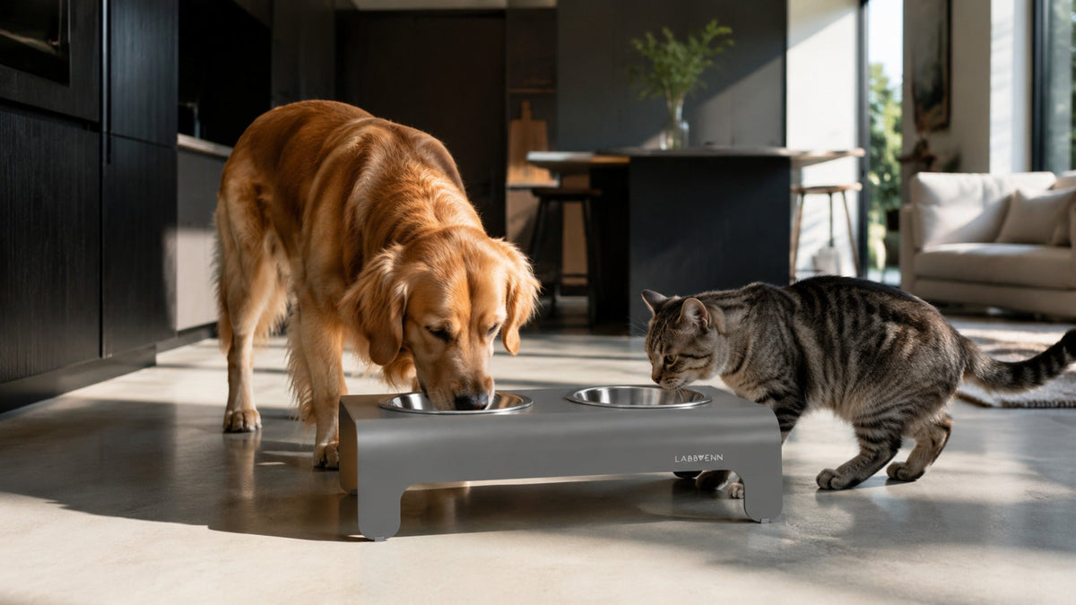 Rico Doppelnapf für Hund & Katze – Grau – Breite Premium-Wohnszene im Format 16:9