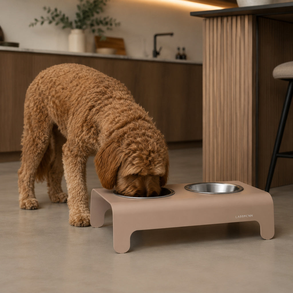 Rico Doppelnapf für Hund & Katze – Mokka – Elegante Küchenszene mit Haustier