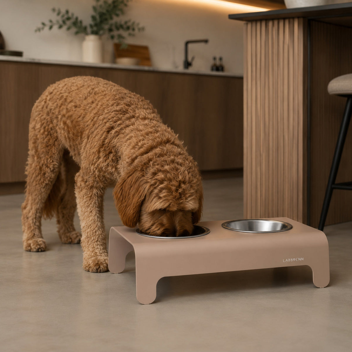 Rico Doppelnapf für Hund & Katze – Mokka – Elegante Küchenszene mit Haustier