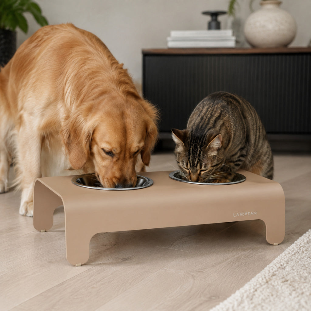 Rico Doppelnapf für Hund & Katze – Mokka – Stilvolle Wohnatmosphäre mit Hund und Katze