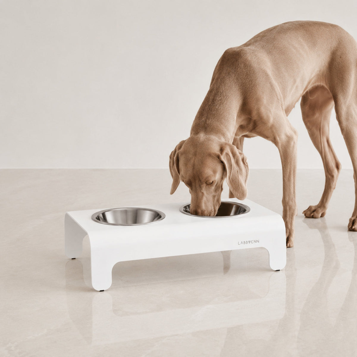 Rico Doppelnapf für Hund & Katze – Weiß – Premium Studioaufnahme auf reflektierendem Boden