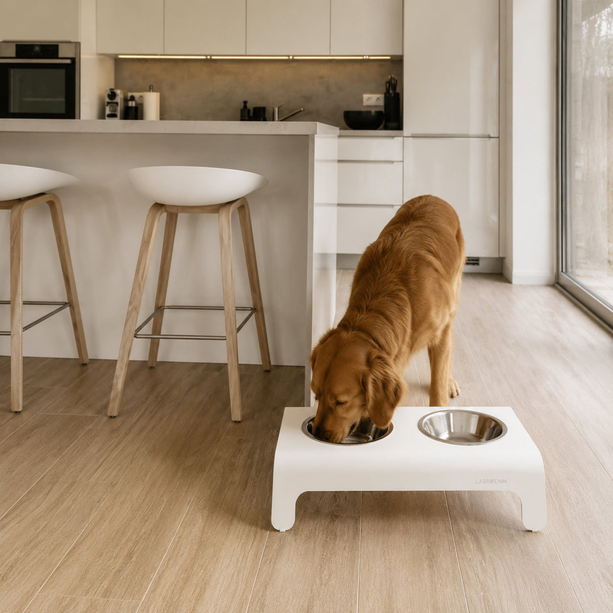Rico Doppelnapf für Hund & Katze – Weiß – Elegante Küchenszene mit Haustier