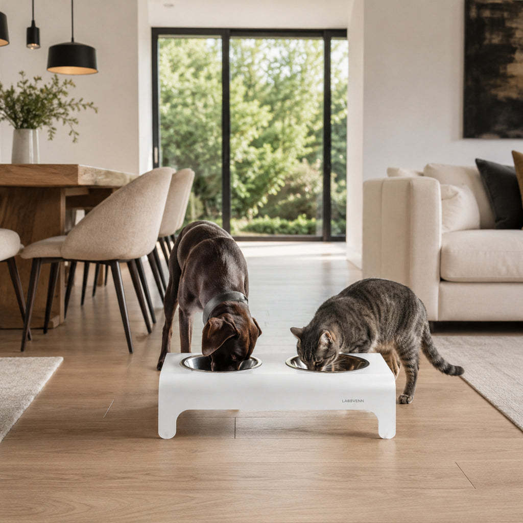 Rico Doppelnapf für Hund & Katze – Weiß – Stilvolle Wohnatmosphäre mit Hund und Katze