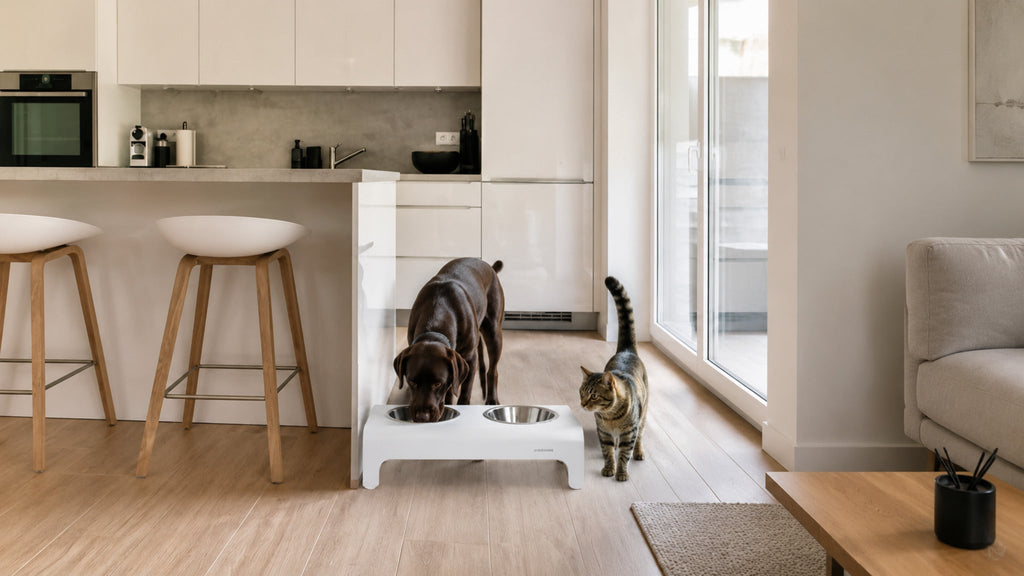 Rico Doppelnapf für Hund & Katze – Weiß – Breite Premium-Wohnszene im Format 16:9