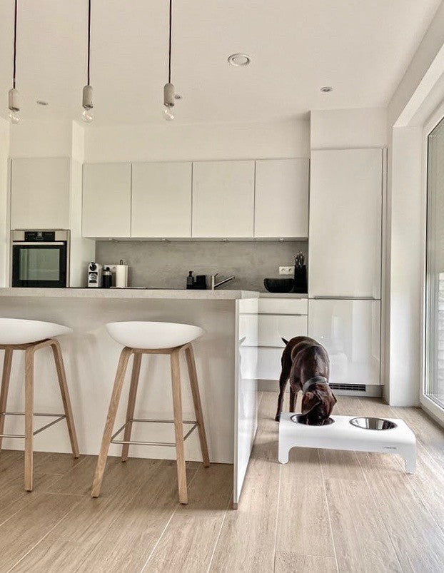 Rico Doppelnapf in Weiß für Hund und Katze