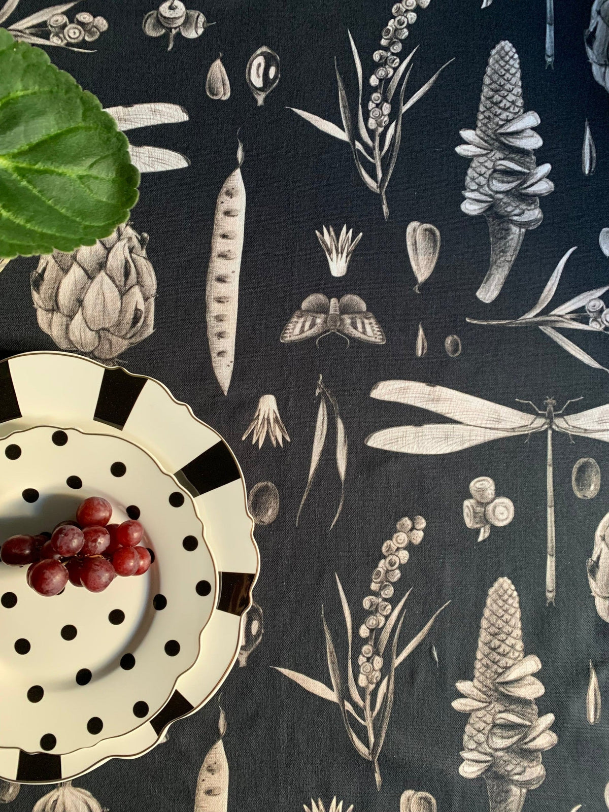 Runde Tischdecke Seeds Carbon aus Baumwolle – Originalansicht 2