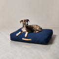 Stockholm Hundekissen – Marineblau – Premium Studioaufnahme auf reflektierendem Boden