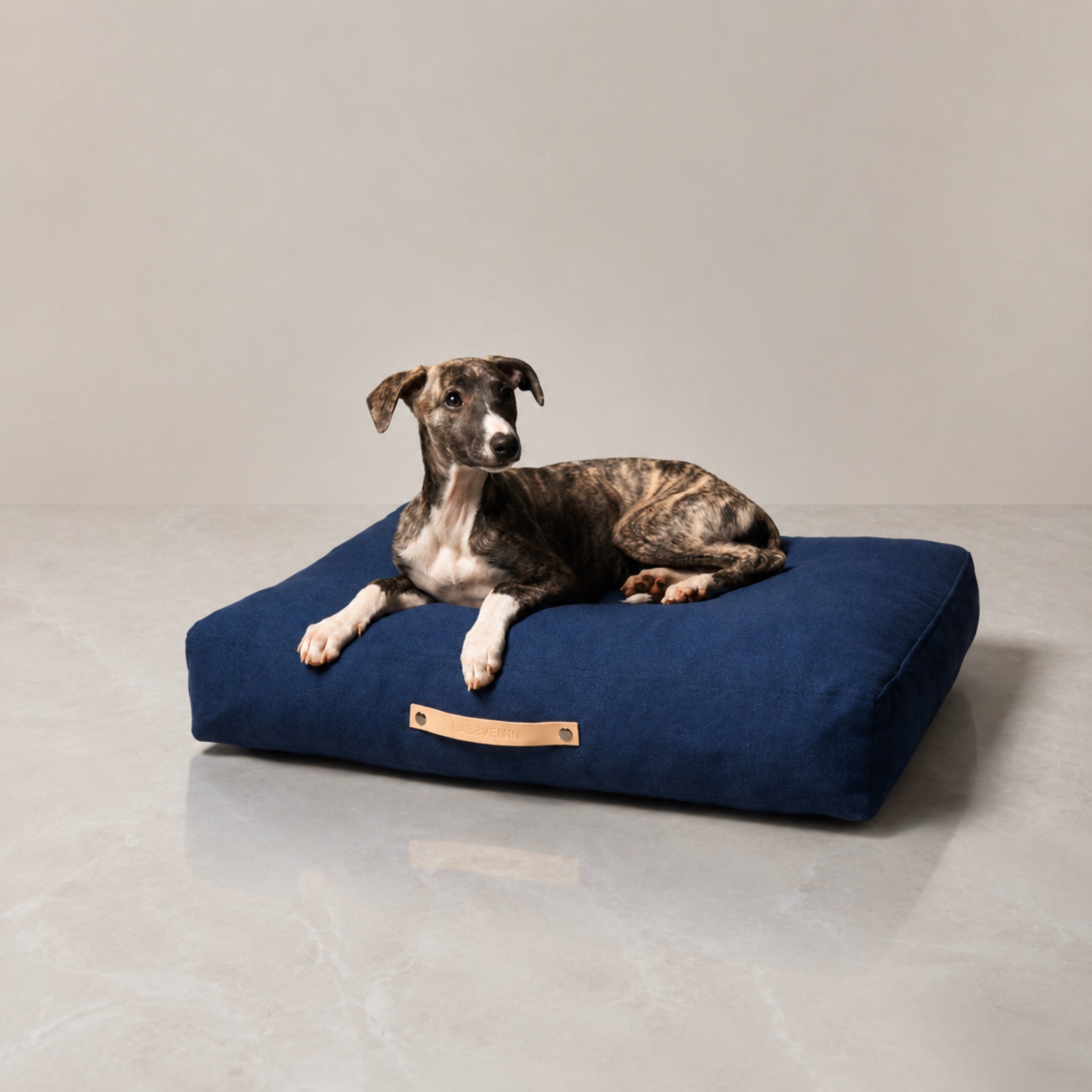 Stockholm Hundekissen – Marineblau – Premium Studioaufnahme auf reflektierendem Boden