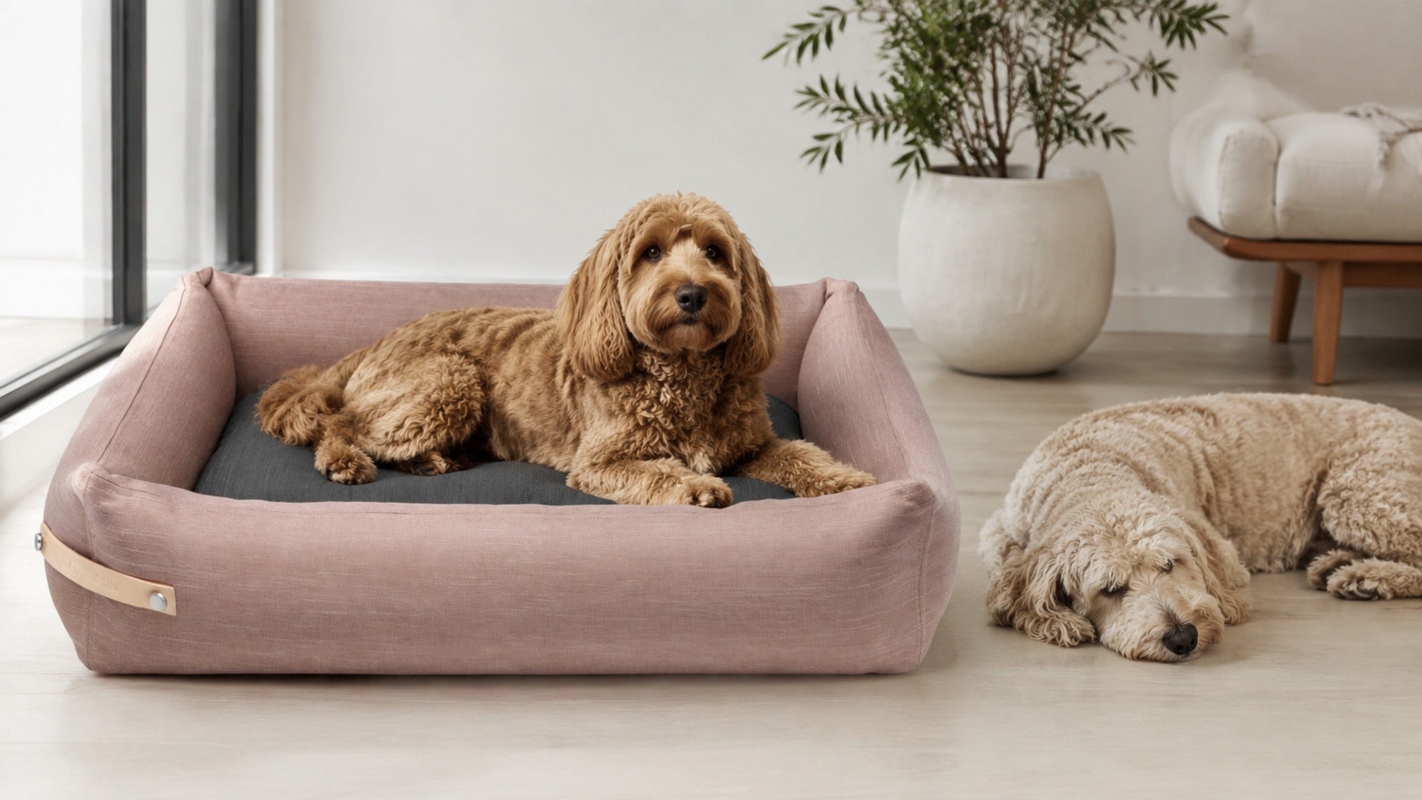 Rosa-graues Stokke Hundebett mit Hunden am lichtdurchfluteten Fenster