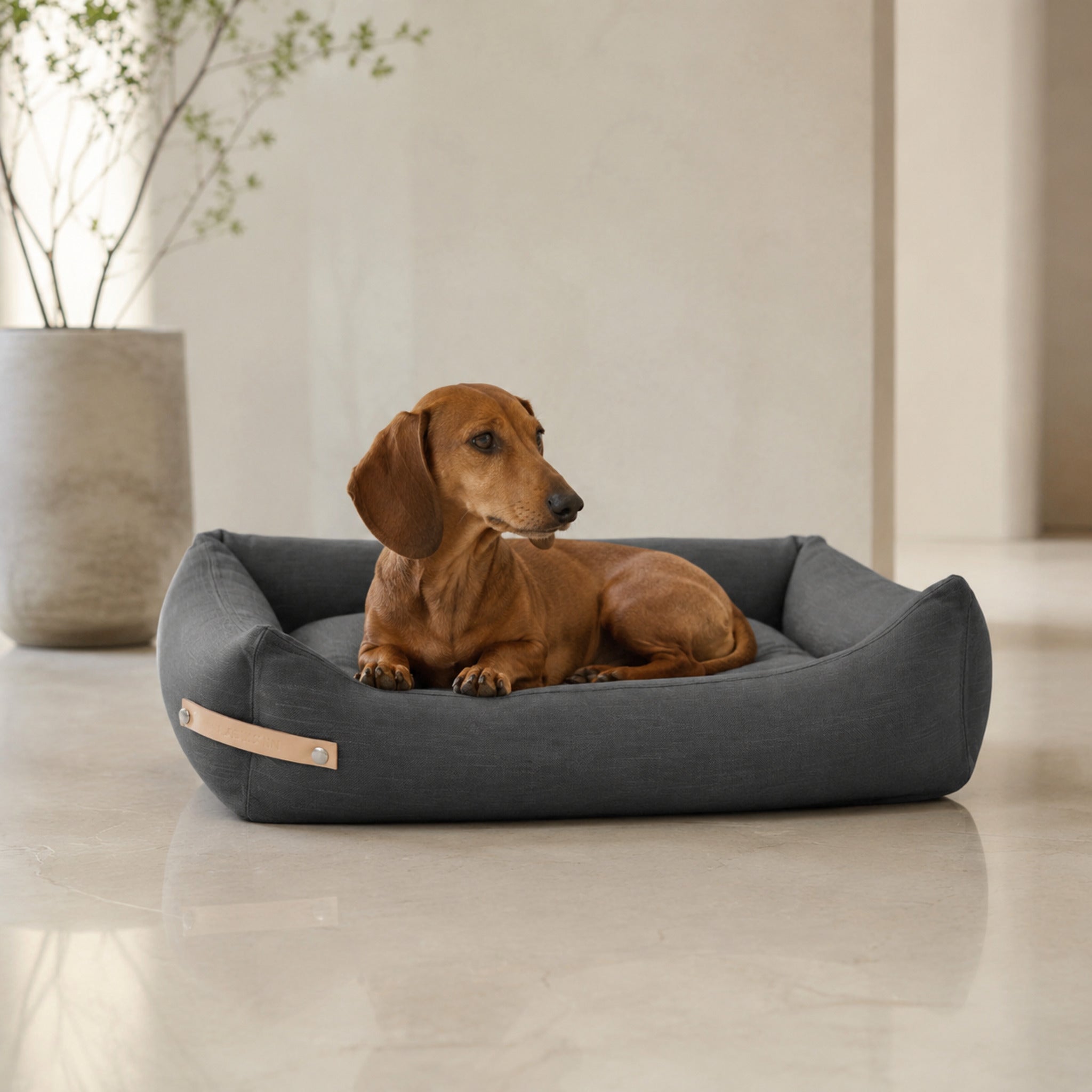 Stokke Hundebett – Grau – Premium Studioaufnahme auf reflektierendem Boden