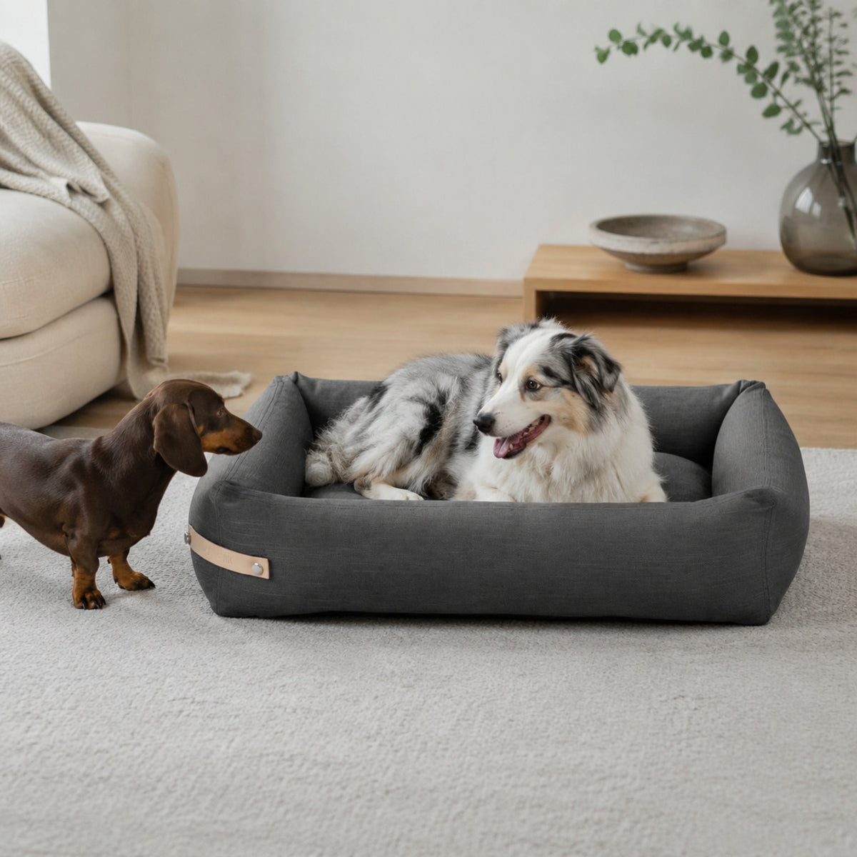 Stokke Hundebett – Grau – Stilvolle Wohnatmosphäre mit zwei Haustieren
