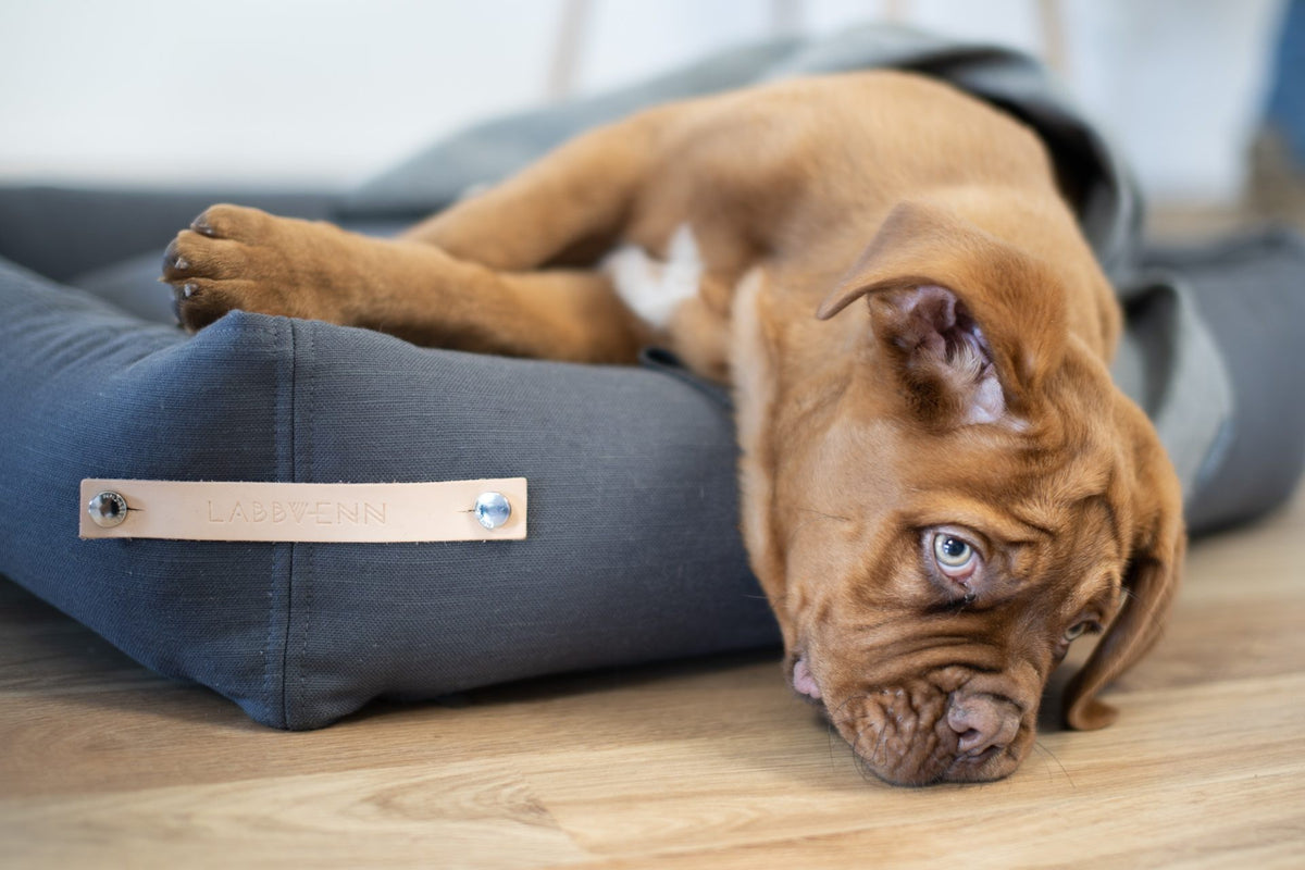 Stokke Hundebett – Grau – Ansicht 2
