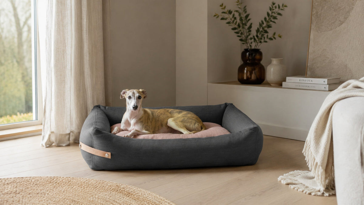 Stokke Hundebett – Grau & Rosa – Breite Premium-Wohnszene im Format 16:9