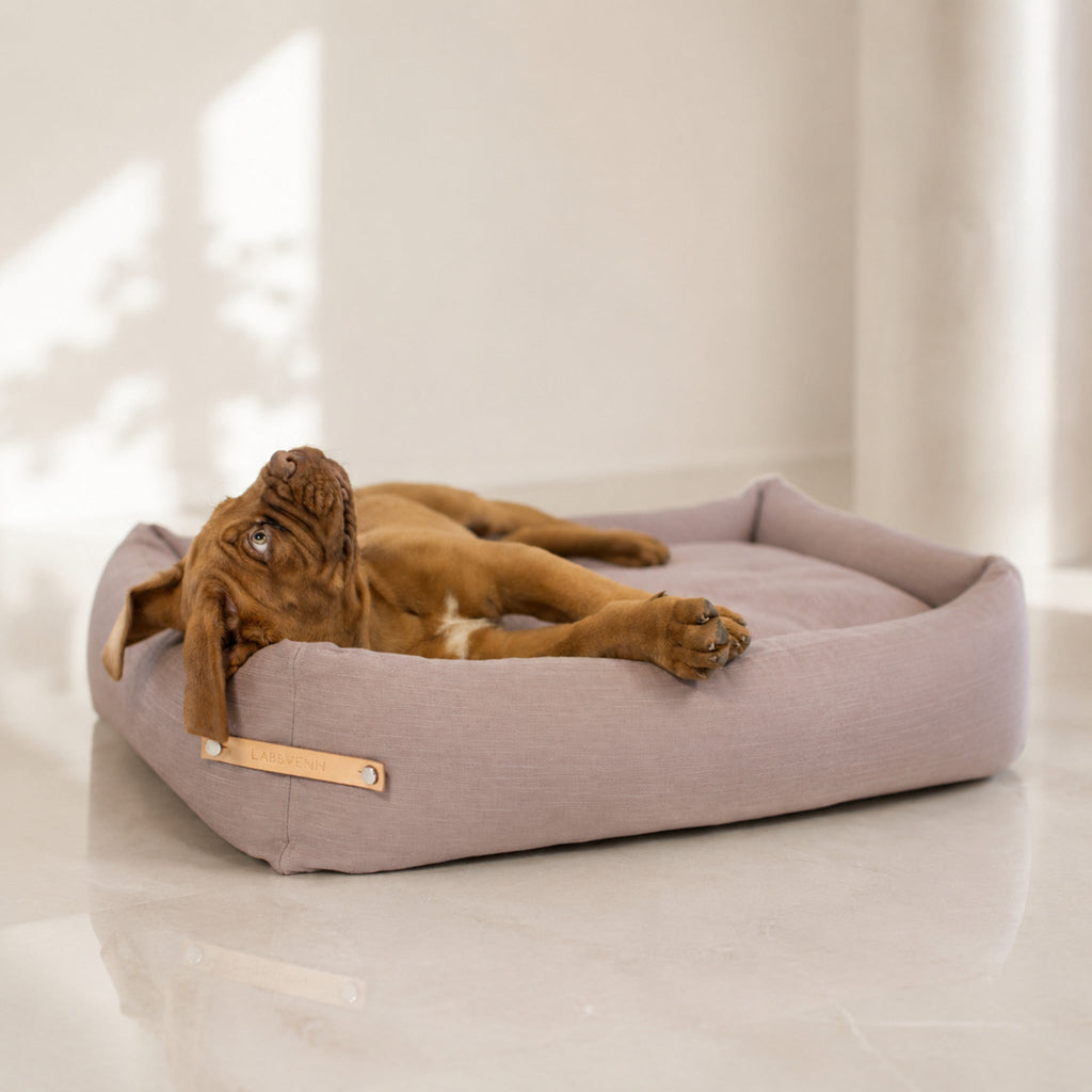 Stokke Hundebett – Rosa – Premium Studioaufnahme auf reflektierendem Boden