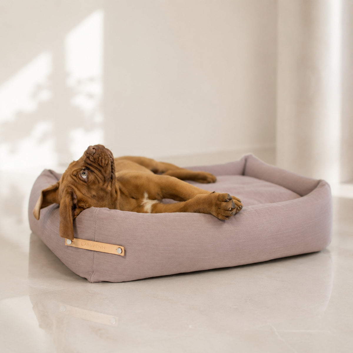 Stokke Hundebett – Rosa – Premium Studioaufnahme auf reflektierendem Boden