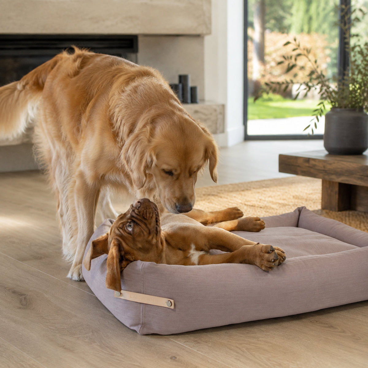 Stokke Hundebett – Rosa – Stilvolle Wohnatmosphäre mit zwei Haustieren