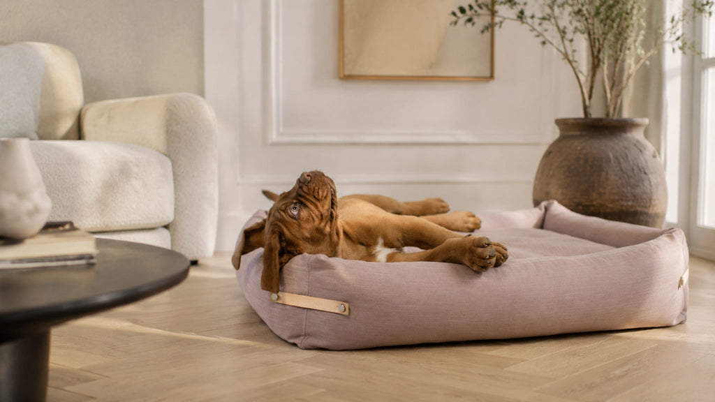 Stokke Hundebett – Rosa – Breite Premium-Wohnszene im Format 16:9
