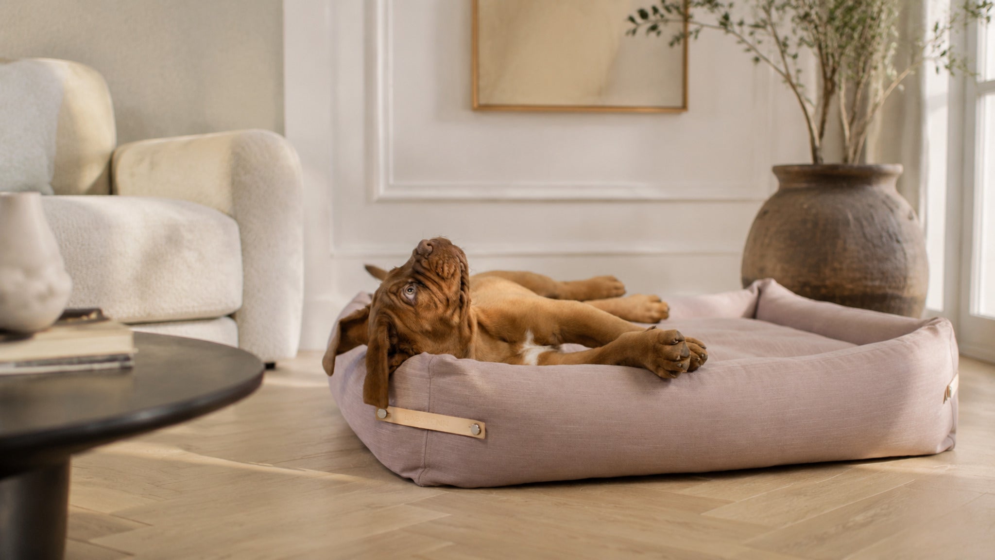 Stokke Hundebett – Rosa – Breite Premium-Wohnszene im Format 16:9