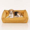 Strippo Cord-Hundebett in Honig mit Beagle – Premium Produktansicht