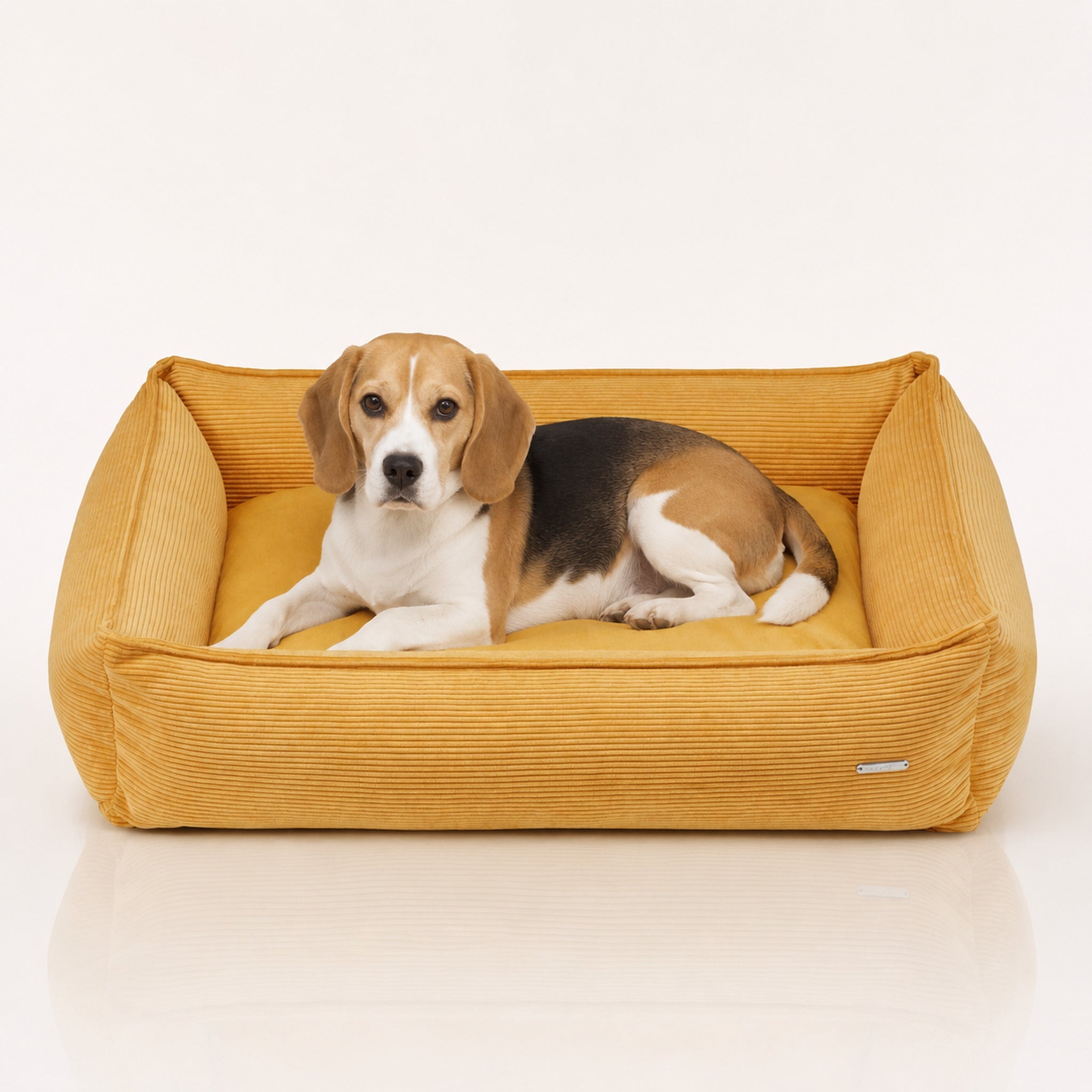 Strippo Cord-Hundebett in Honig mit Beagle – Premium Produktansicht
